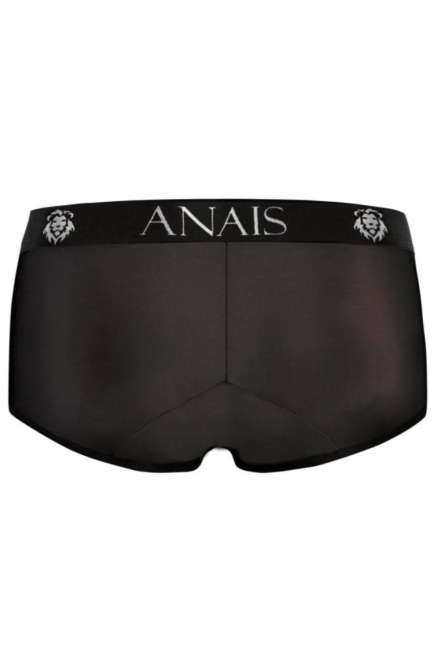 Anais - Petrol Brief
