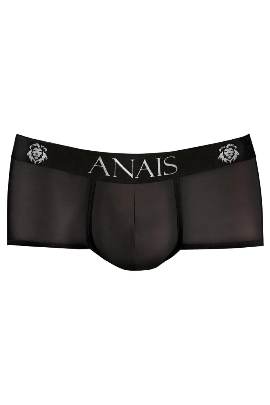 Anais - Petrol Brief