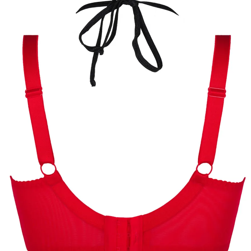 Axami - Plus Size BH