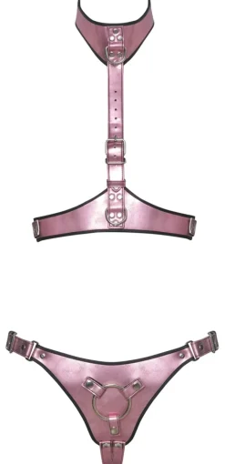 Bad Kitty - Strap On Harness Set