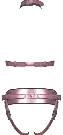 Bad Kitty - Strap On Harness Set
