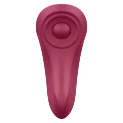 Satisfyer - Sexy Secret Panty Vibrator wine red