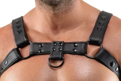 Svenjoyment - Harness aus Kunstleder