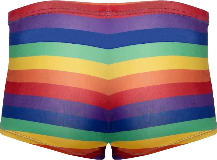 Svenjoyment - Regenbogen Pants